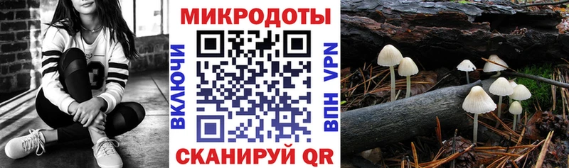 Галлюциногенные грибы ЛСД  Снежногорск 