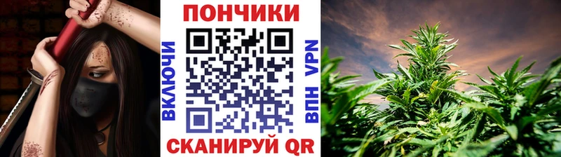 Бошки марихуана Bruce Banner Снежногорск